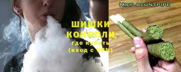 крисы Володарск