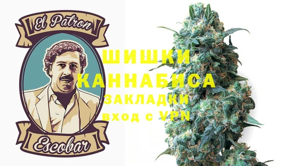 крисы Володарск